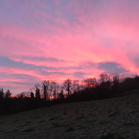 Forest View - Castlewellan, County Down ベルファスト エクステリア 写真