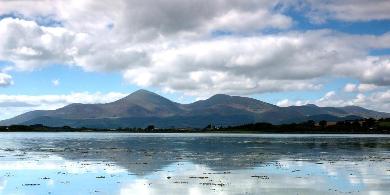 Forest View - Castlewellan, County Down ベルファスト エクステリア 写真