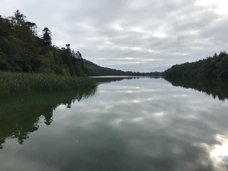 Forest View - Castlewellan, County Down ベルファスト エクステリア 写真