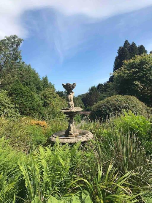 Forest View - Castlewellan, County Down ベルファスト エクステリア 写真