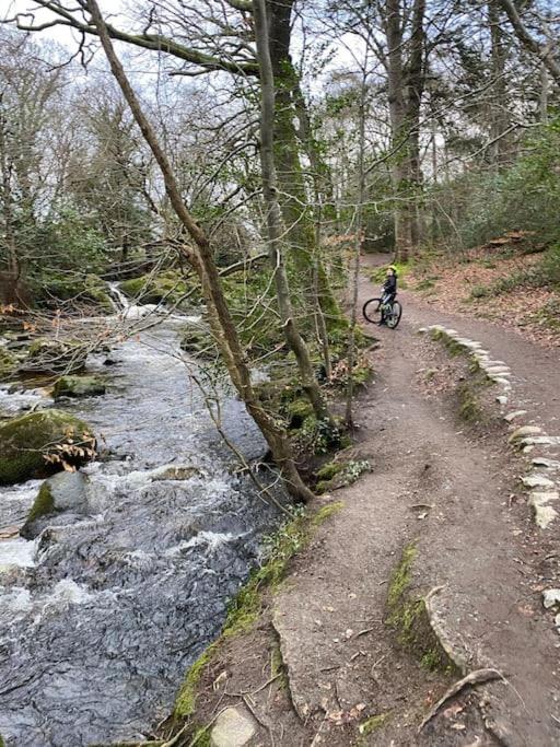 Forest View - Castlewellan, County Down ベルファスト エクステリア 写真