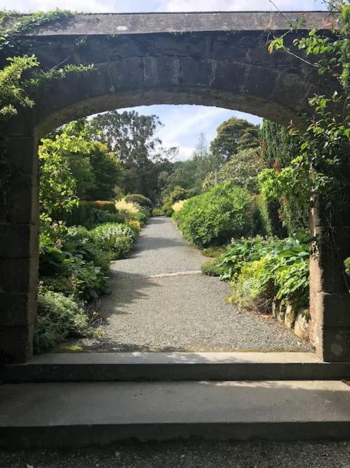 Forest View - Castlewellan, County Down ベルファスト エクステリア 写真