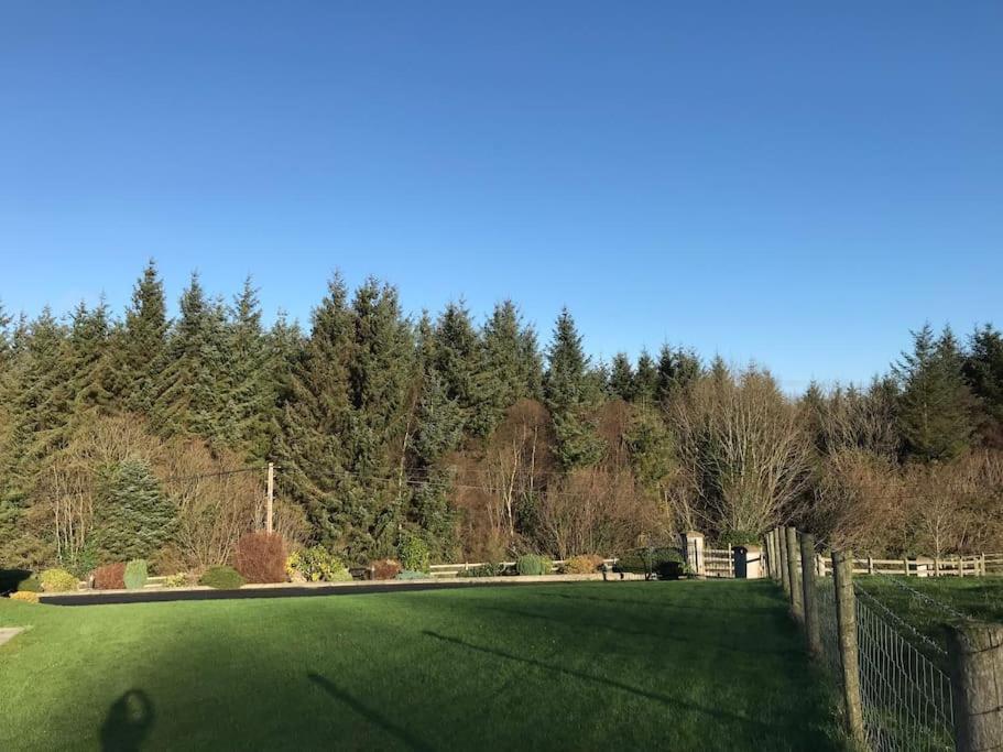 Forest View - Castlewellan, County Down ベルファスト エクステリア 写真