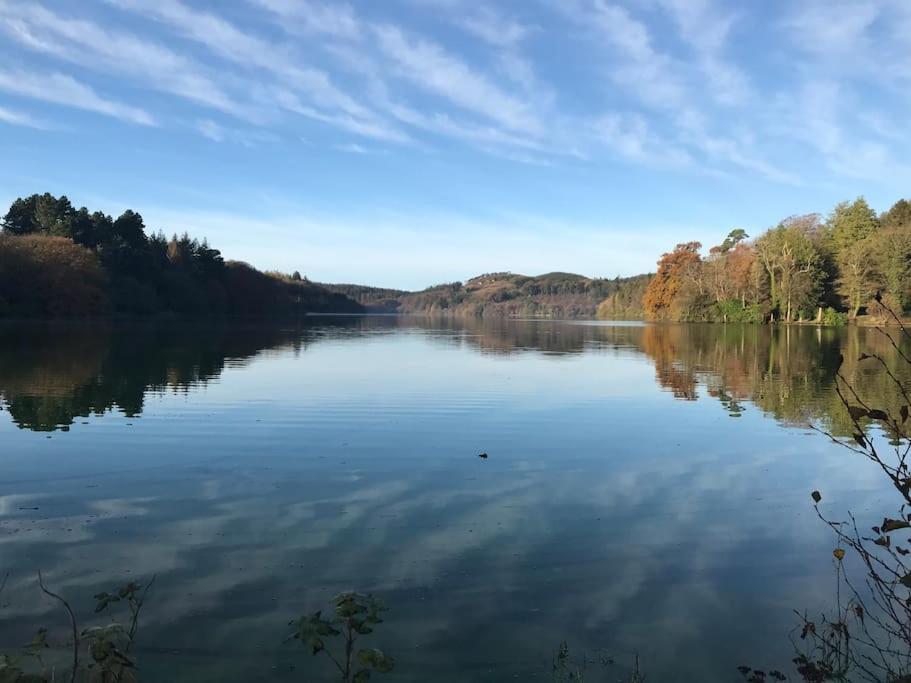 Forest View - Castlewellan, County Down ベルファスト エクステリア 写真