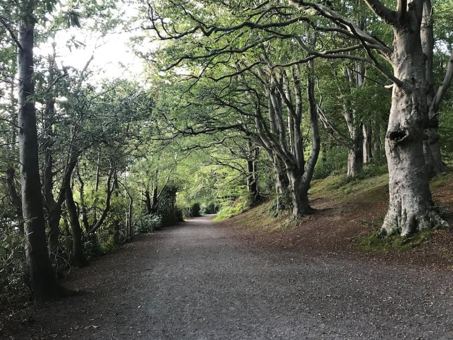 Forest View - Castlewellan, County Down ベルファスト エクステリア 写真