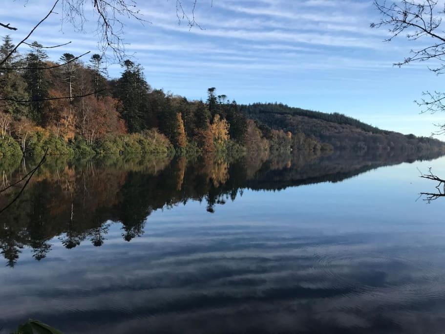 Forest View - Castlewellan, County Down ベルファスト エクステリア 写真